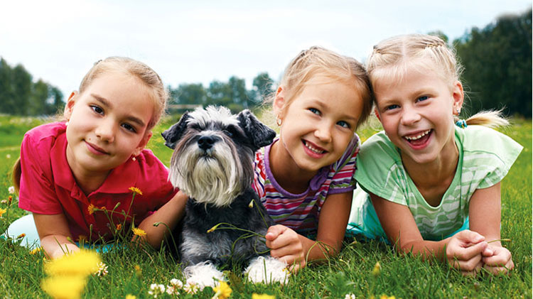 Kinder mit Hund