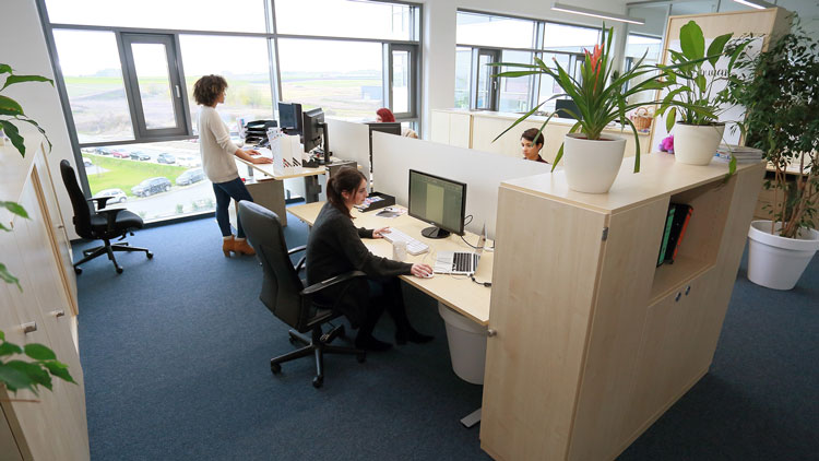 Arbeiten an höhenverstellbaren Tischen.