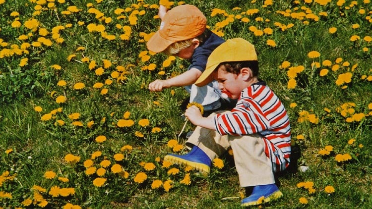 Kinder spielen draussen