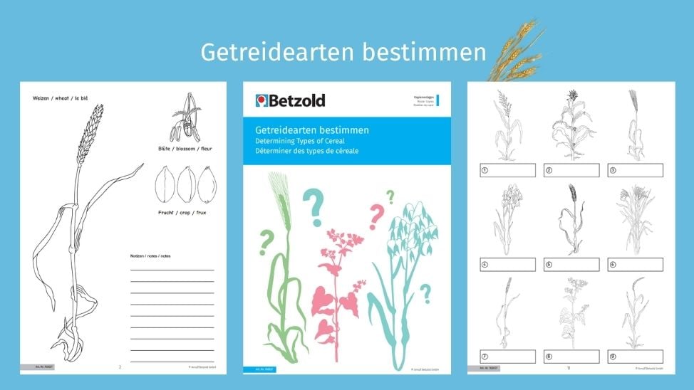Getreidearten bestimmen