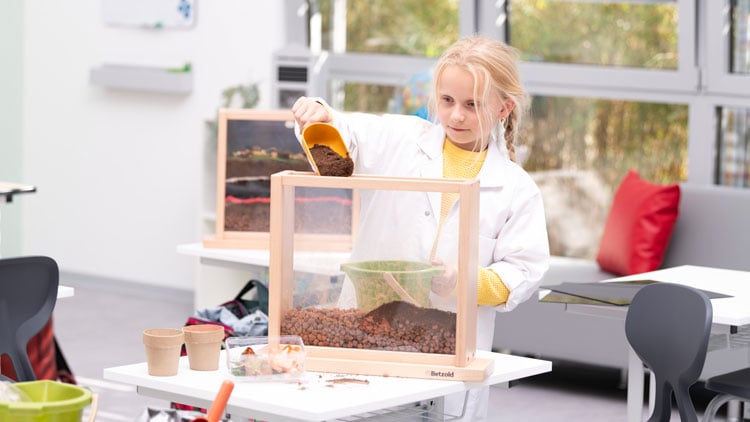 Mädchen richtet Regenwurmbeobachtungskasten ein.
