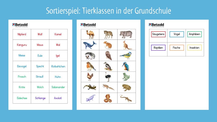 Download: Tierquiz