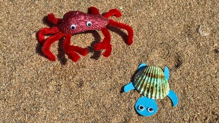 Krabbe und Schildkröte aus Muscheln und Pfeifenputzern gebastelt.