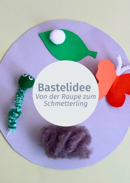 Gebasteltes Schaubild, das die Metamorphose des Schmetterlings aufzeigt