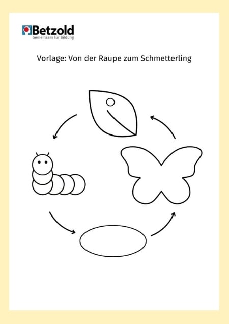 Vorlage: Von der Raupe zum Schmetterling
