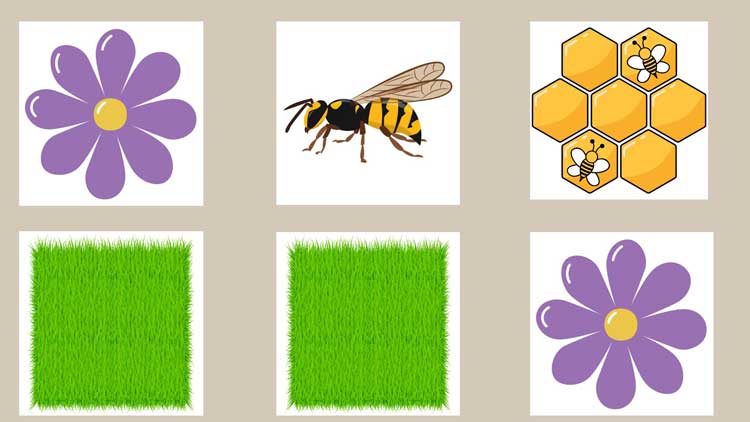Vorlage: Bee-Bot-Parcours