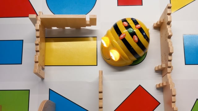 Erfahrungsbericht Bee-Bot
