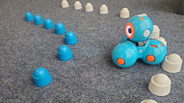 Erfahrungsbericht Dash-Roboter