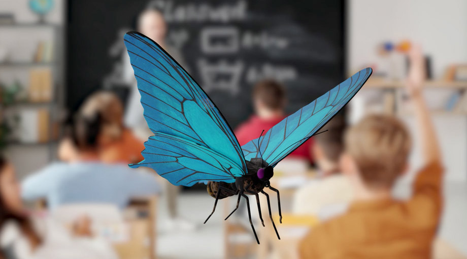 ClassVR Xplorer 3D-Asset Butterfly