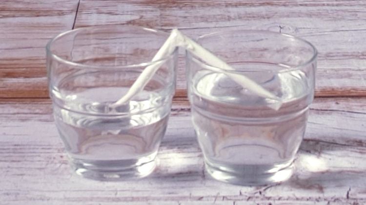 Wasser wird durch die Kohäsionskraft von einem Gefäß zum anderen geleitet.