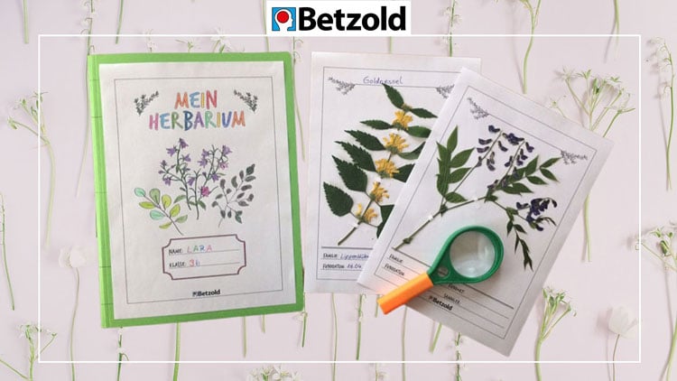 Herbarium anlegen: Tipps & Vorlagen