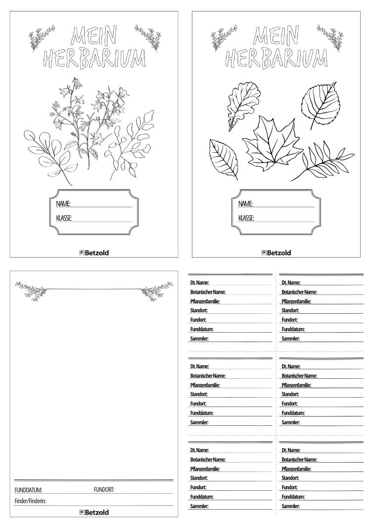 Herbarium Komplettdownload