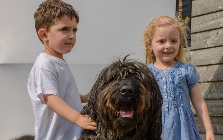 Kinder mit Hund
