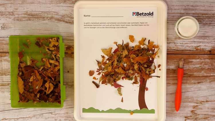 Laub zerbröseln und auf der Vorlage mit Bastelkleber verteilen.