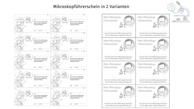 Mikroskopführerschein
