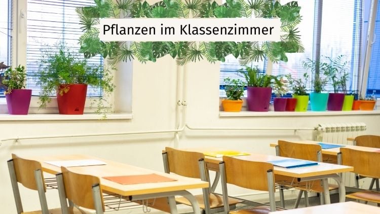 Pflanzen in einem Klassenzimmer