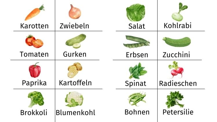 Pflanzenschilder für Gemüse