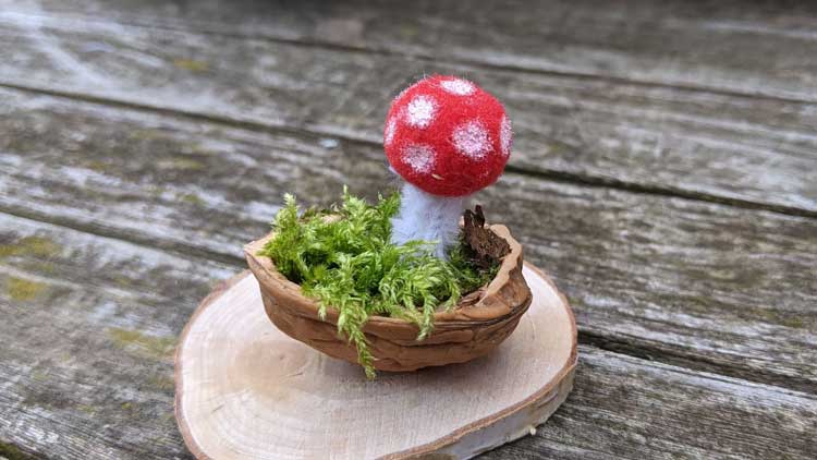 Pilz aus einer Walnussschale und einem Pompon gebastelt.