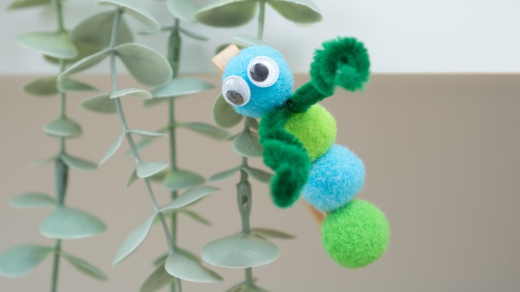 Mit Pompons und einer Wäscheklammer eine süße Raupe basteln.