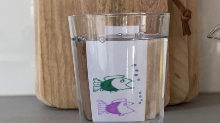 Ein Glas mit Wasser, dahinter ein Bild mit zwei Fischen