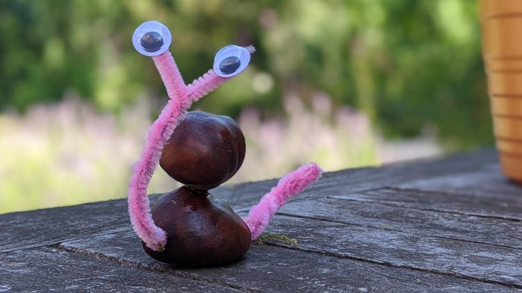 Schnecke aus zwei Kastanien gebastelt und mit Wackelaugen aus dem Betzold Online-Shop verziert.