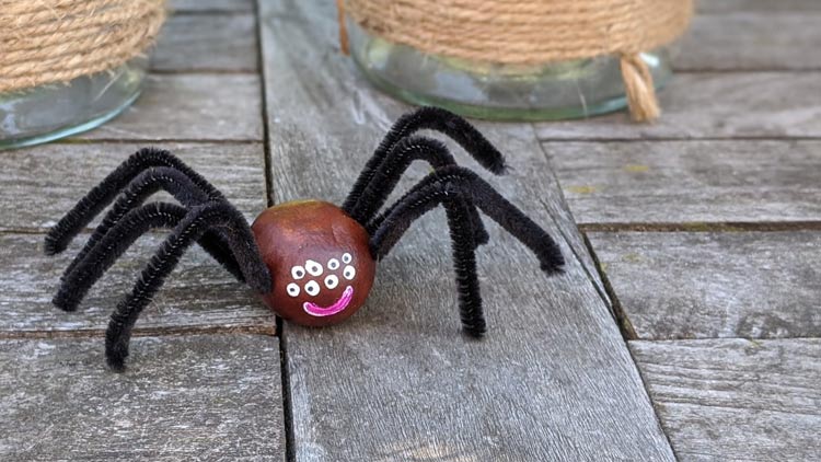 Spinne aus einer Kastanie gebastelt und mit Permanentmarkern aus dem Betzold Online-Shop bemalt,