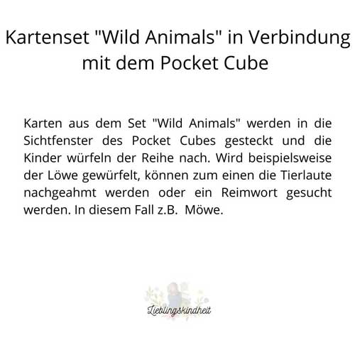Spielen und Lernen: Tiere für den Pocket Cube