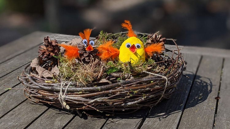 Vogelnest basteln aus Naturmaterialien