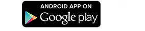 Google Play Store Icon