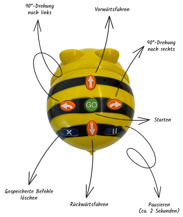 Bee-Bot von oben mit Erläuterungen