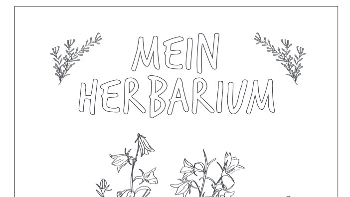 Herbarium Anlegen Tipps Vorlagen Betzold Blog