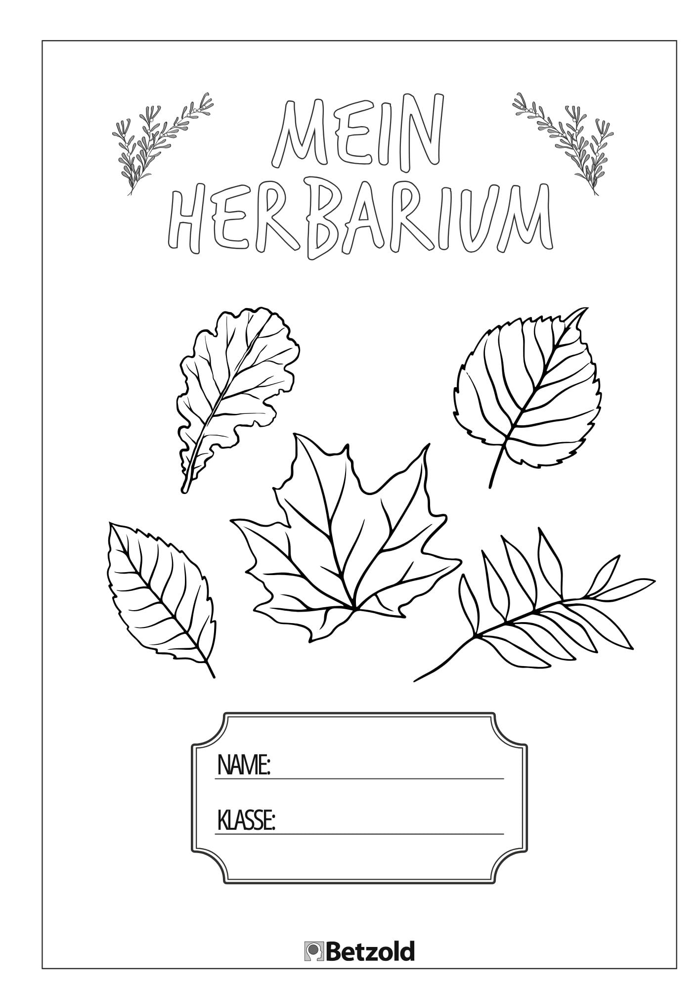 Deckblatt: Herbarium im Herbst