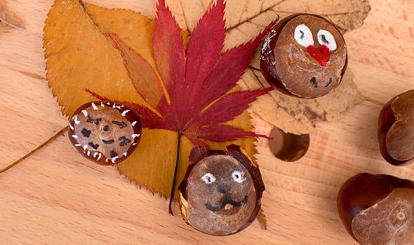 Bastelmaterial aus der Natur