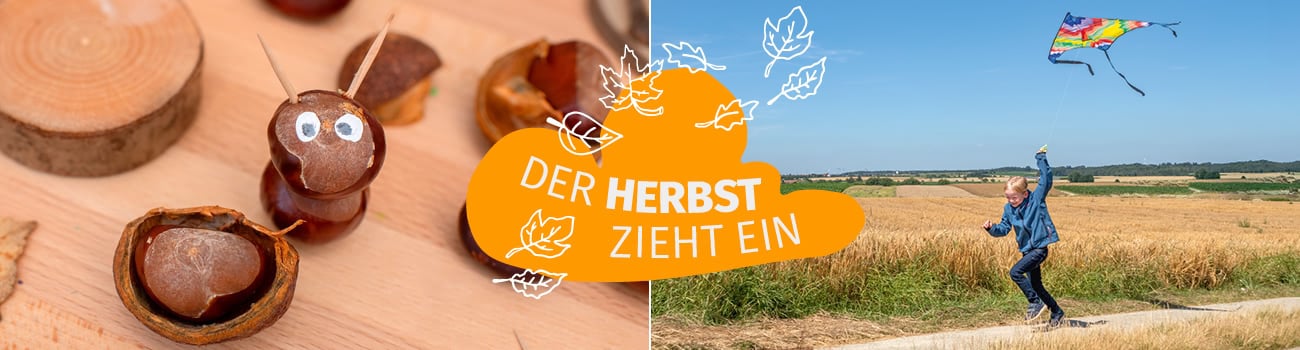Herbst Kastanientiere und ein Kind, das mit Drachen rennt