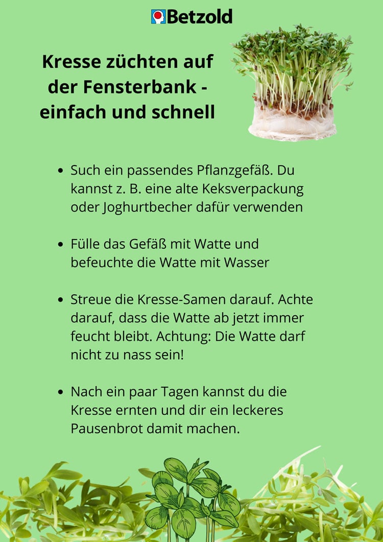 Anleitung Kresse-Projekt