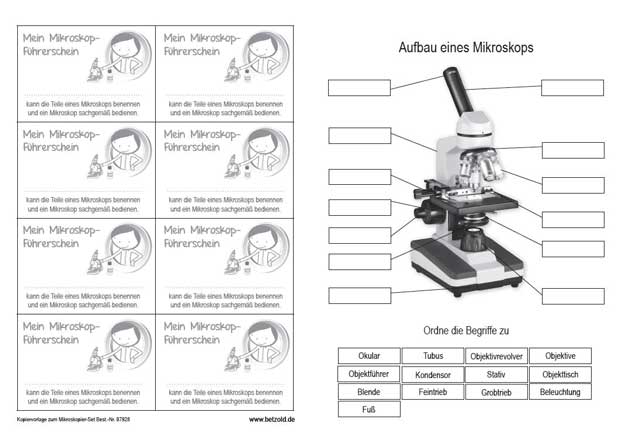 Arbeitsblatt: Mikroskopführerschein - Blog