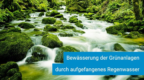 Nachhaltigkeit Regenwasser