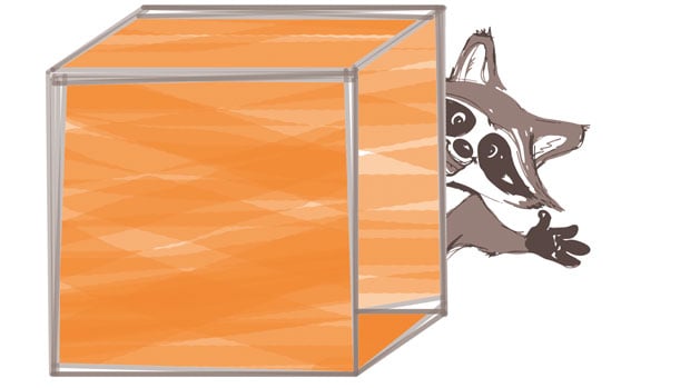 Waschbär als Comicfigur